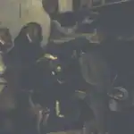 Giraffe Horn: The Story Behind the Book